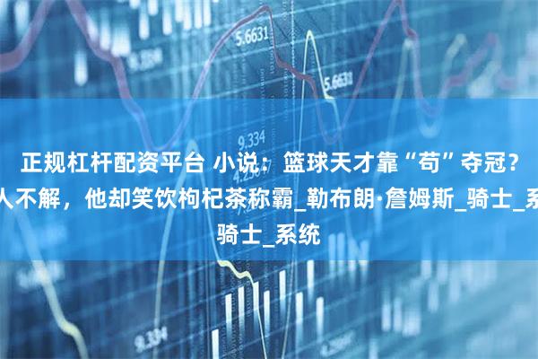 正规杠杆配资平台 小说：篮球天才靠“苟”夺冠？众人不解，他却笑饮枸杞茶称霸_勒布朗·詹姆斯_骑士_系统